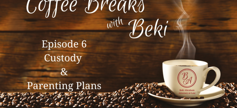 Episode 6 – Custody & Parenting Plans